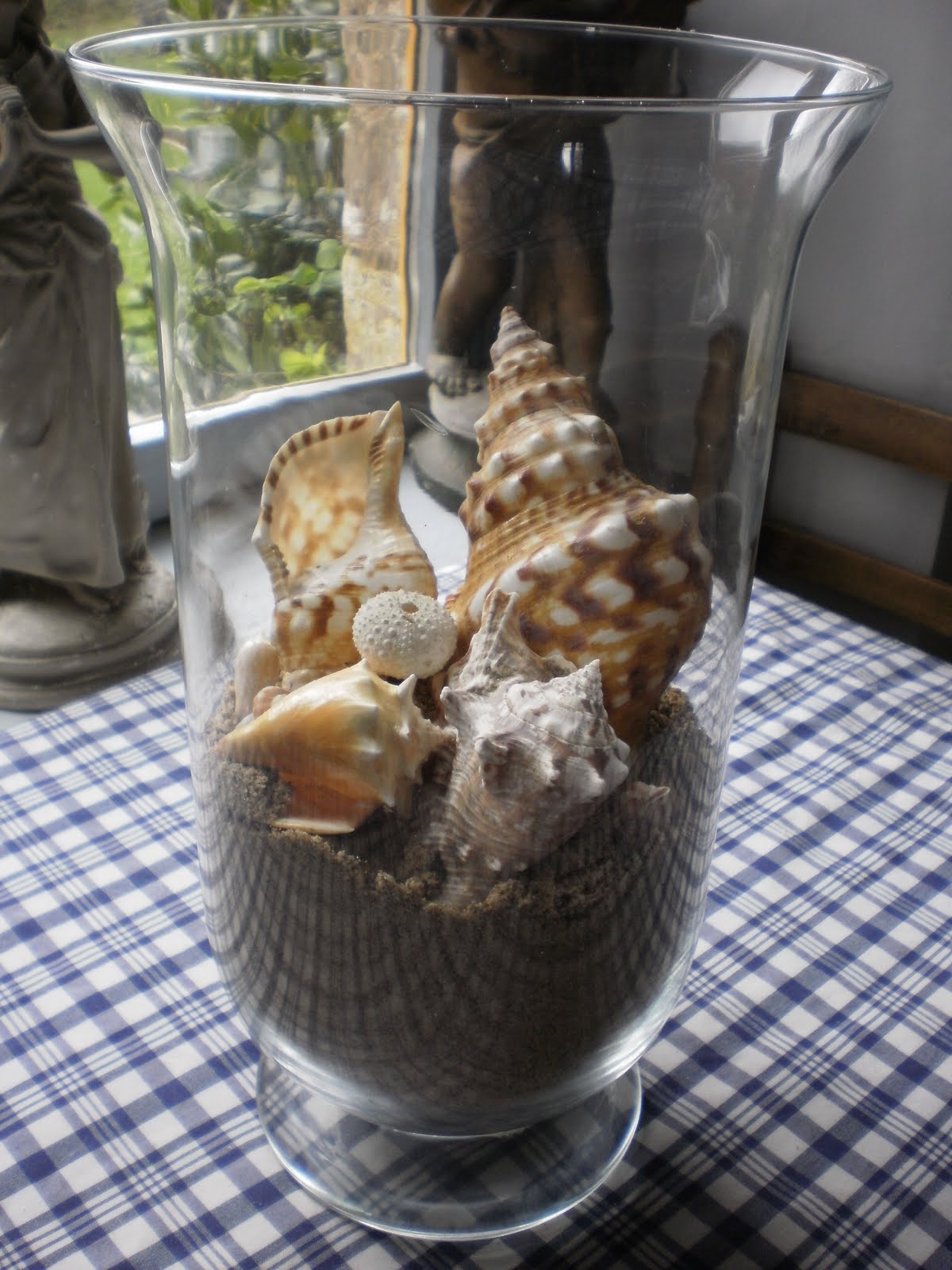 Simply Chateau Sand And Seashells
