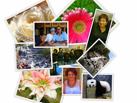 A day in the life of ''KIKA'