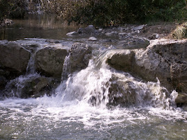une nature généreuse