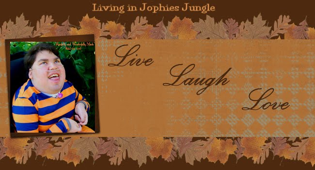 Living in Jophies Jungle
