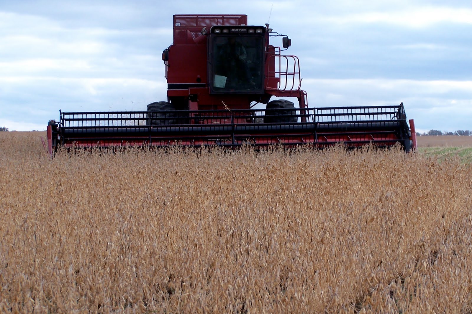 Safe Storage Safe Storage Moisture Soybeans