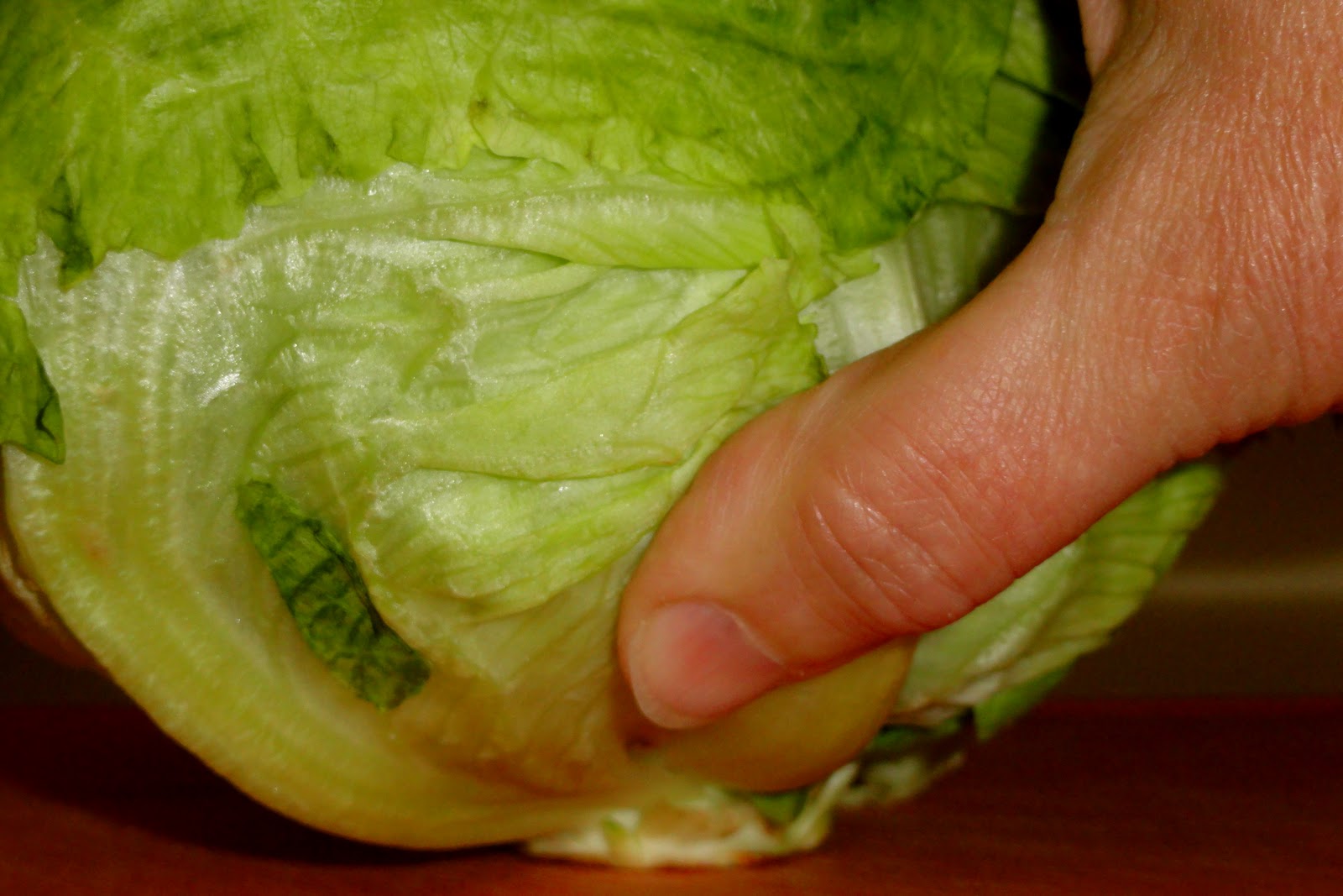 Griggs Dakota Iceberg Lettuce Salad