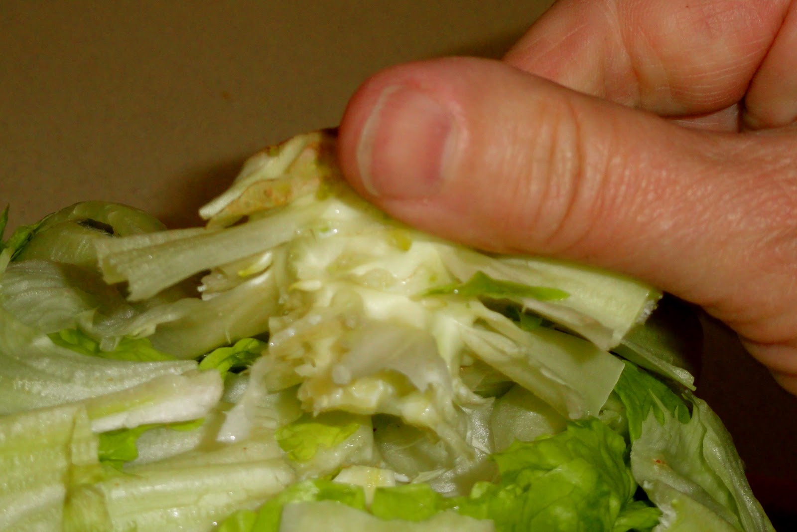 Griggs Dakota Iceberg Lettuce Salad