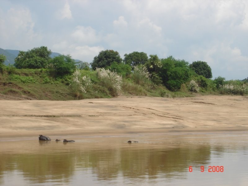 [DSC02982.JPG]