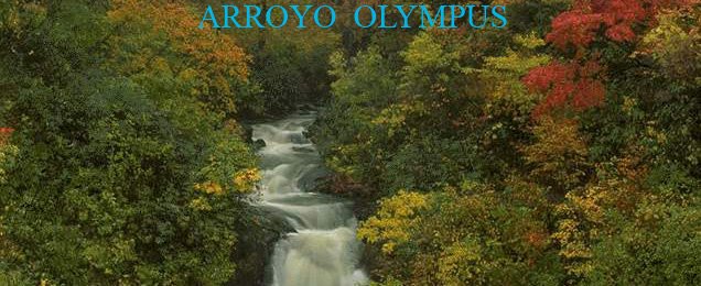 Arroyo Olympus