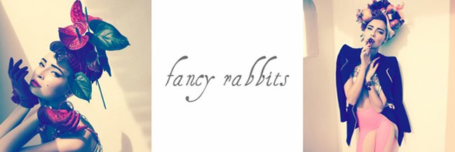 fancy rabbits