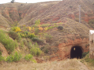 Fotos de campo La mina de Daroca merece mejor suerte.
