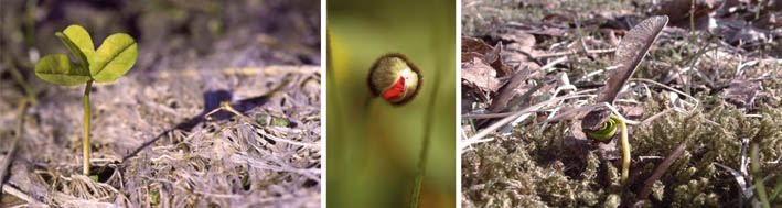 [13.++Forvandlinger+72dpi]