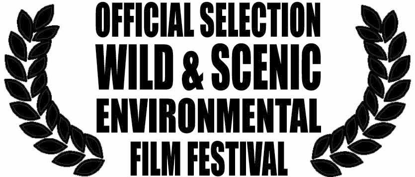 [OFFICIALSELECTION.jpg]