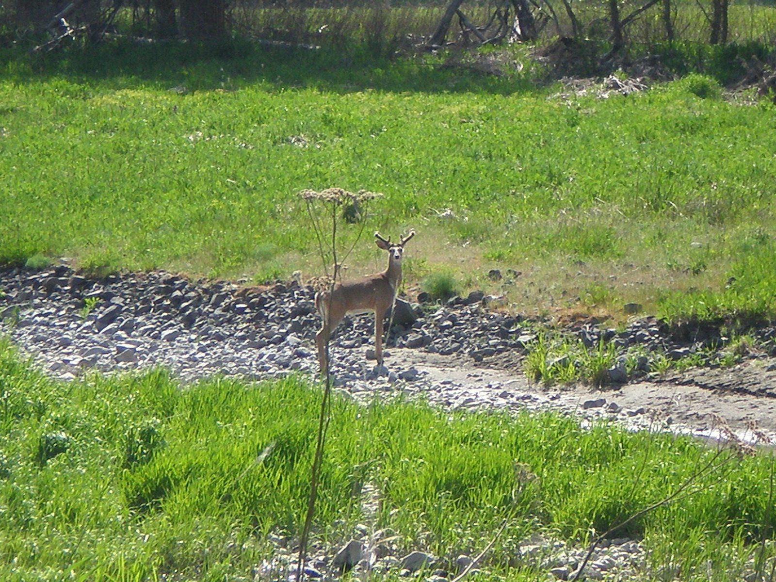 [Spring+'09+143.jpg]