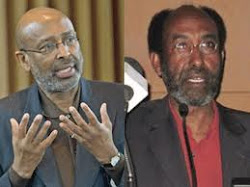 somali professors