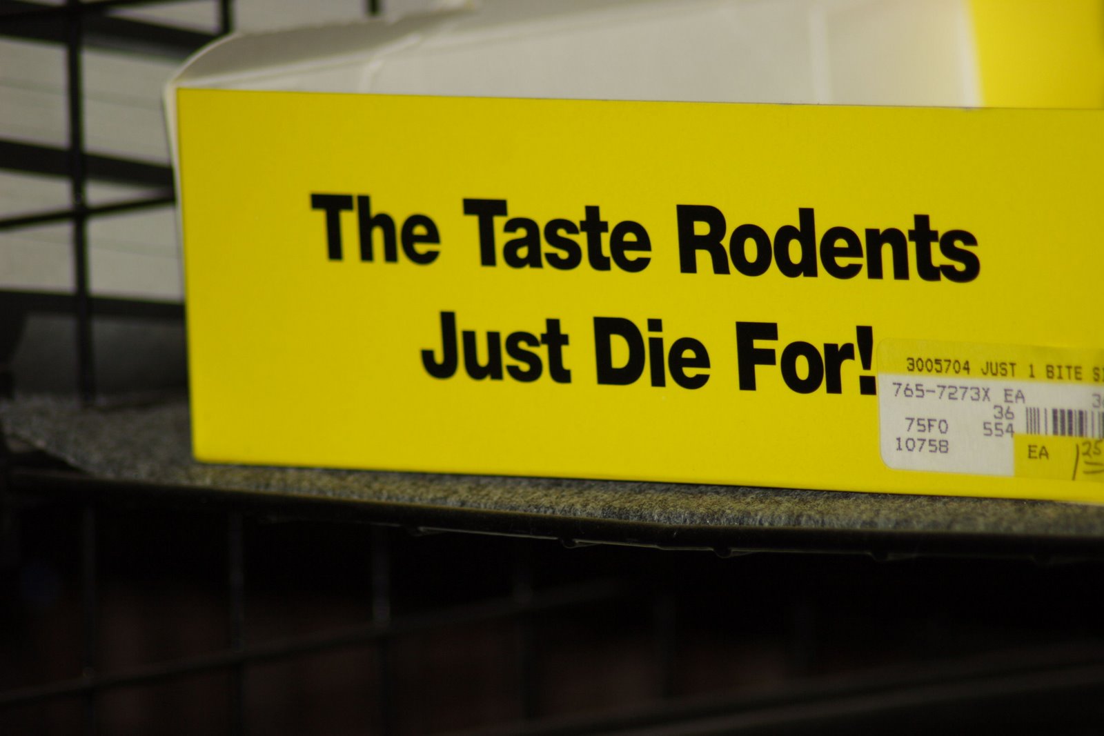 [TasteRodentsDieFor.JPG]