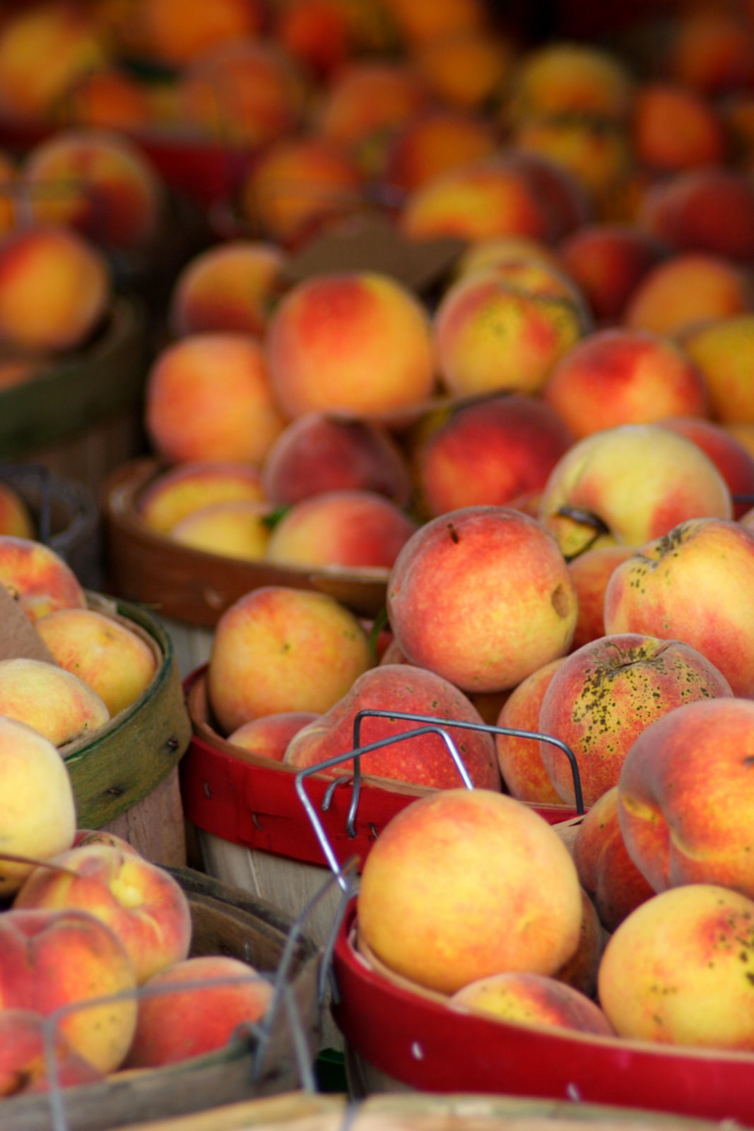 [GrissomPeaches03.JPG]