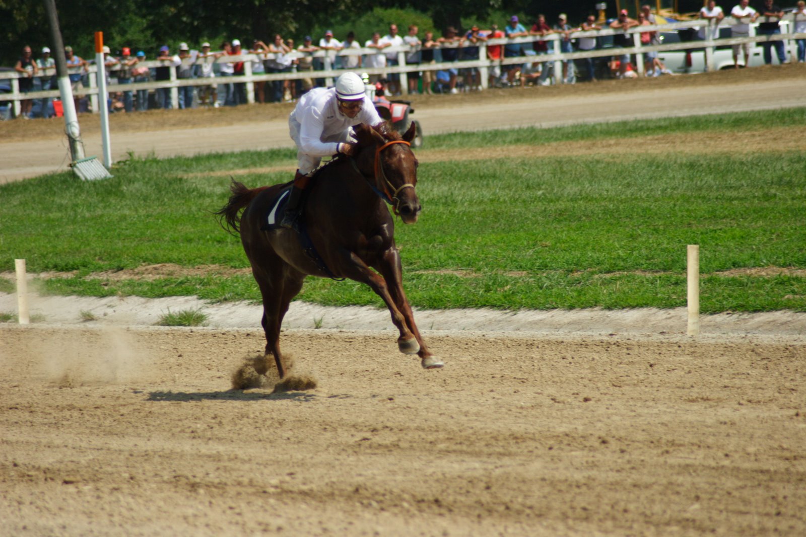 [FairSatRaces19.JPG]