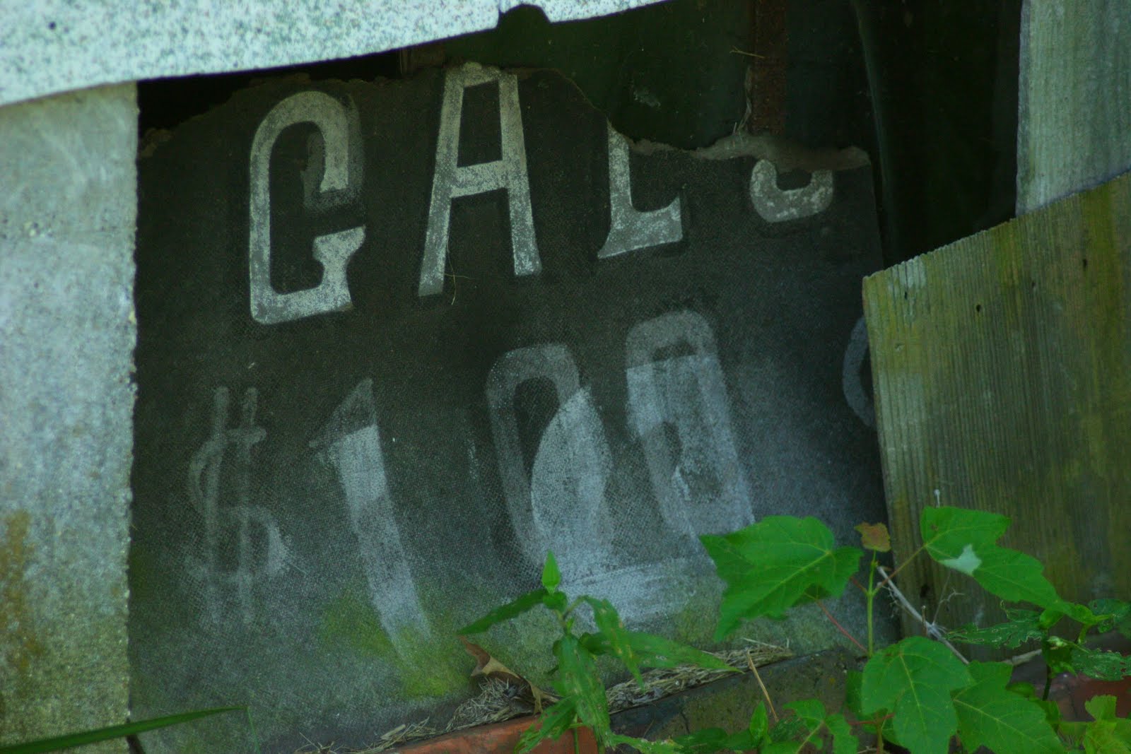 [HidalgoStore05.JPG]