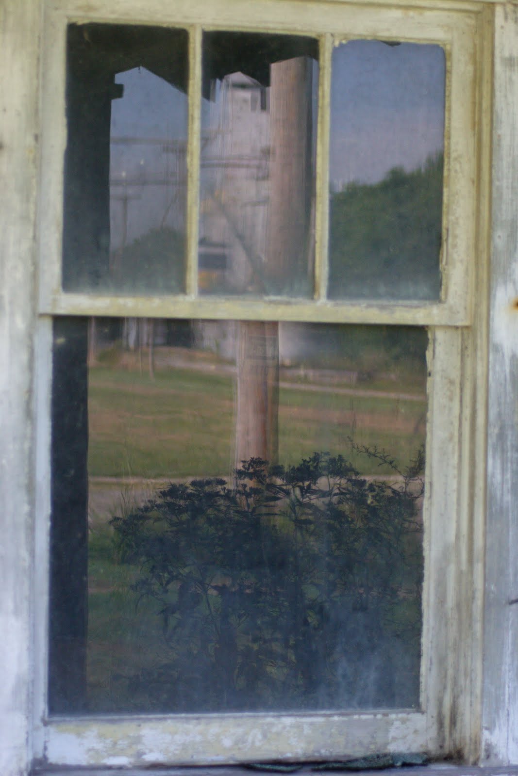 [HidalgoStore09.JPG]