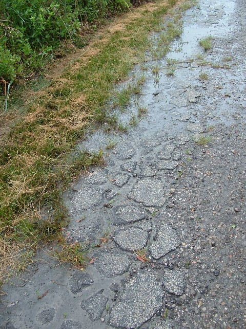 [rainy+path.JPG]
