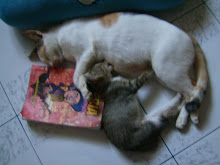 umi n baby penat baca buku