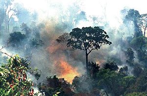 [queimadas.jpg]
