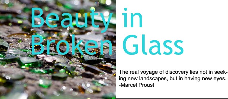 Beauty in broken glass