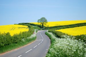 [1008080_rural_road__5.jpg]