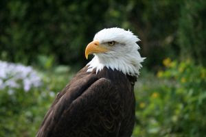 Foto de Thomas van den Berg, Países Baixos Foto de Thomas van den Berg, Países Baixos