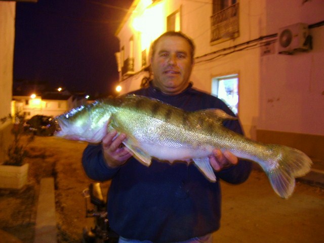 [DSC01419.JPG]