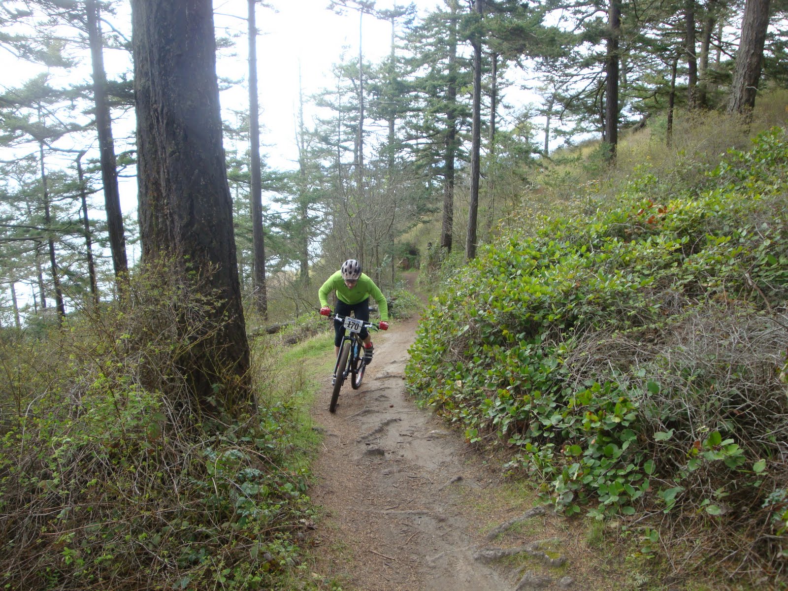 erica mountain bike park