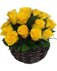 [Ensaio%20Amarelo.jpg]