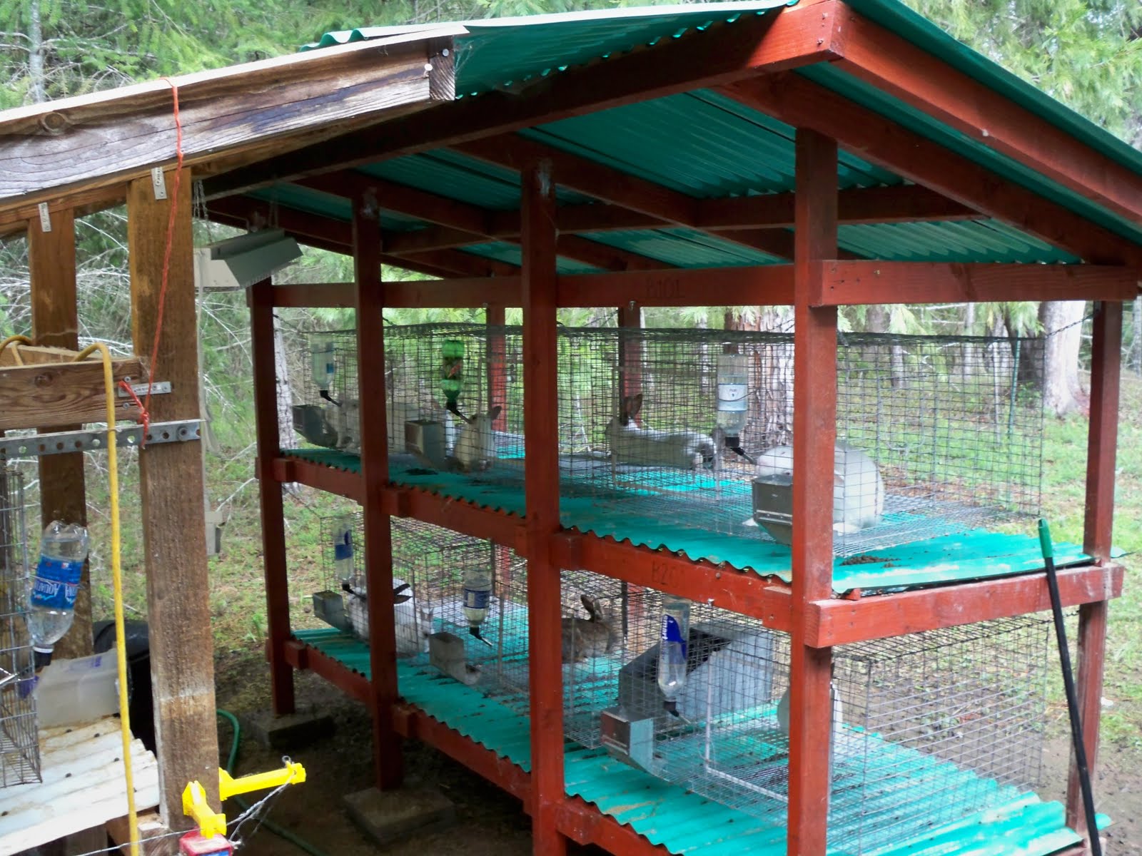 The Provential Ruralite More on Rabbits