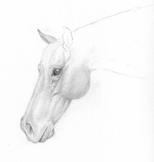 Horse Head by Jennifer Phillip