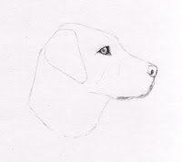 dog drawing Copyright Jennifer Rose Phillip