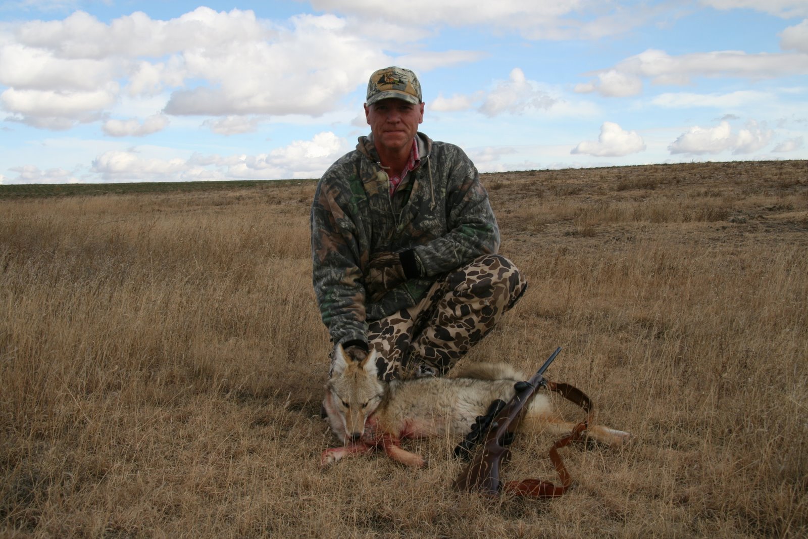 [Coyote+03.JPG]