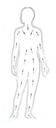 [skin_brush_diag.gif]