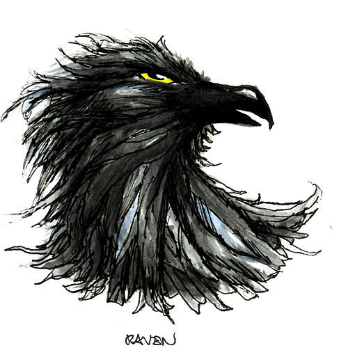 [Raven.jpg]