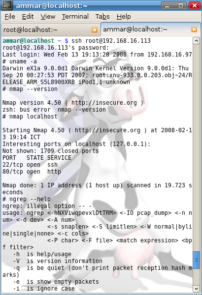 [nmap-ipod.png]