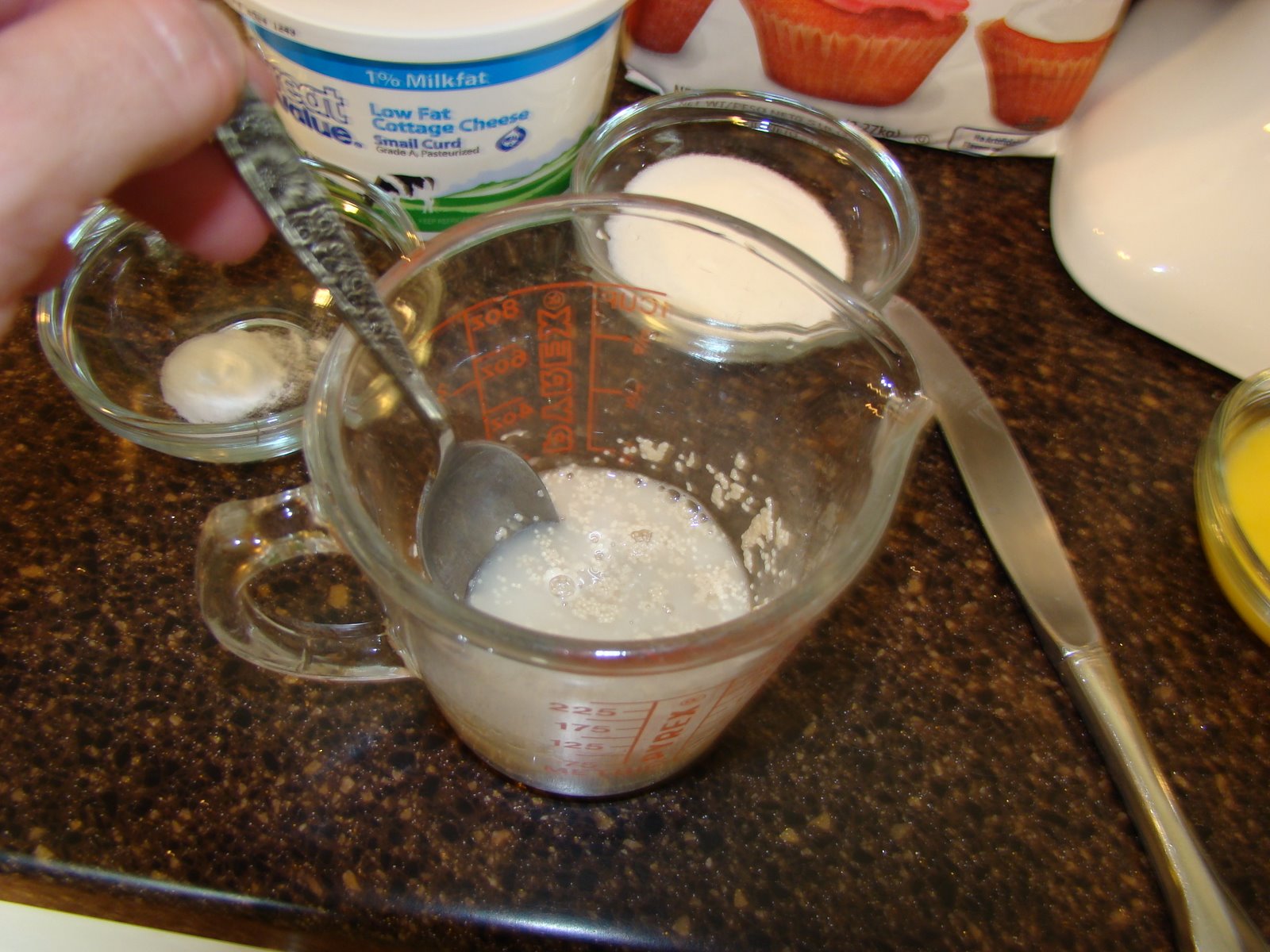 Our Treasured Home Cottage Cheese Bread Homemade & Machine