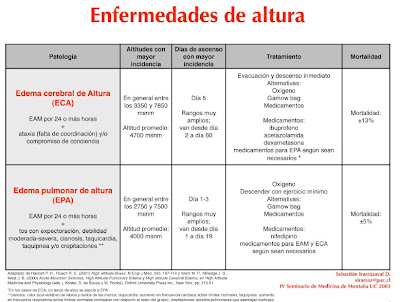 download integrierte business informationssysteme erp scm crm bi big data analytics prozesssimulation rollenspiel serious