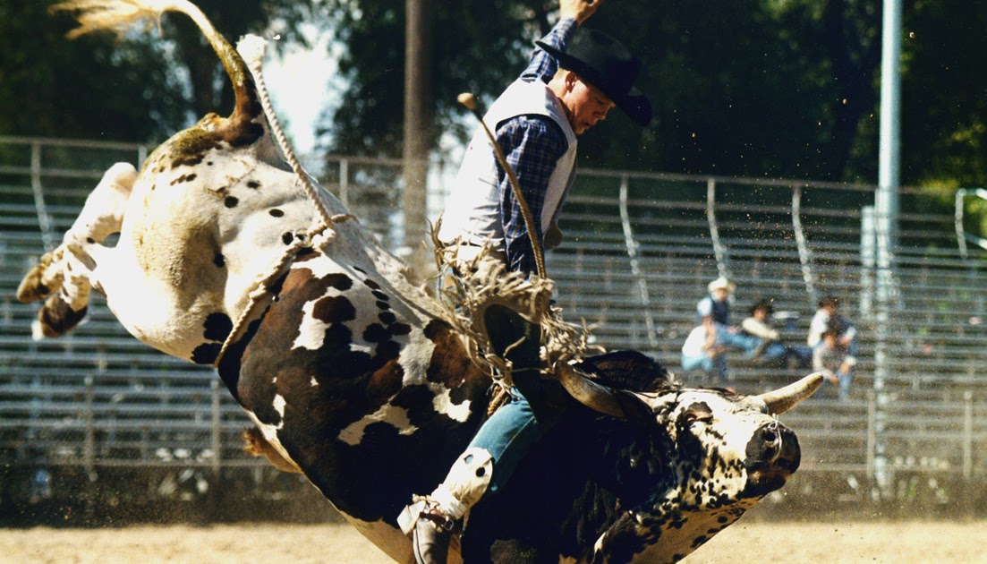 Território Sertanejo Os Rodeios no Brasil vão acabar?