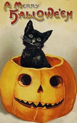 [vintage-halloween-black-cat-pumpkin-card.jpg]
