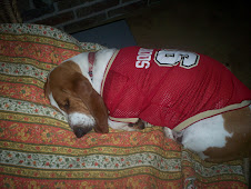 sooner pup