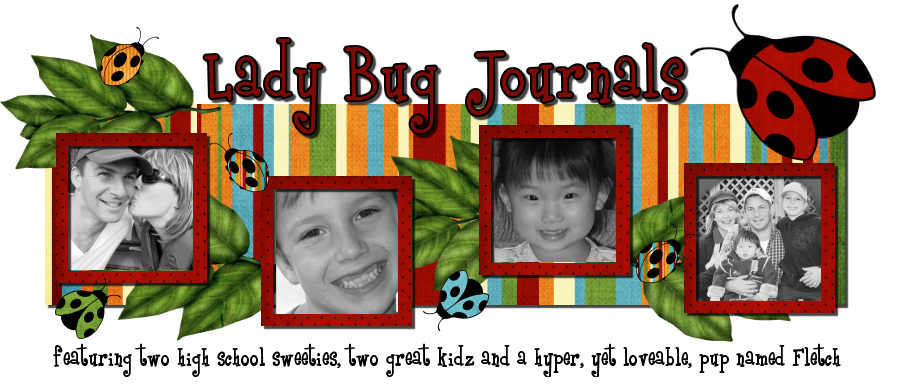 LadyBug Journals