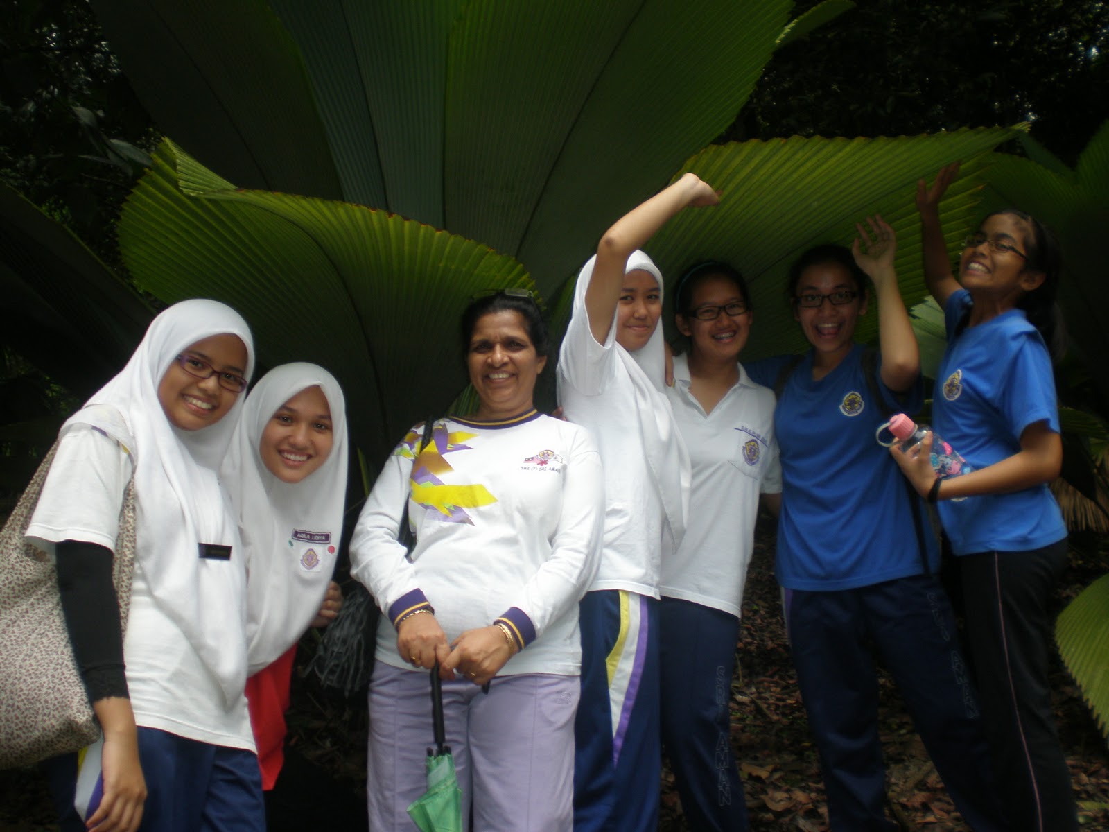 Rimba Ilmu
