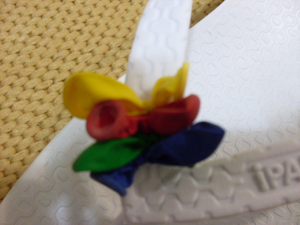 [SDC11664.JPG]