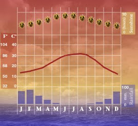 Agra Climate Chart