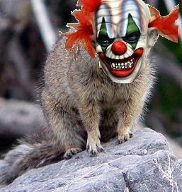 squirrel-clown.JPG