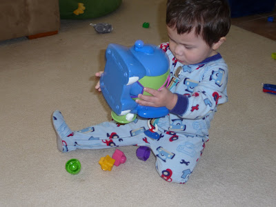 infantino elephant shape sorter