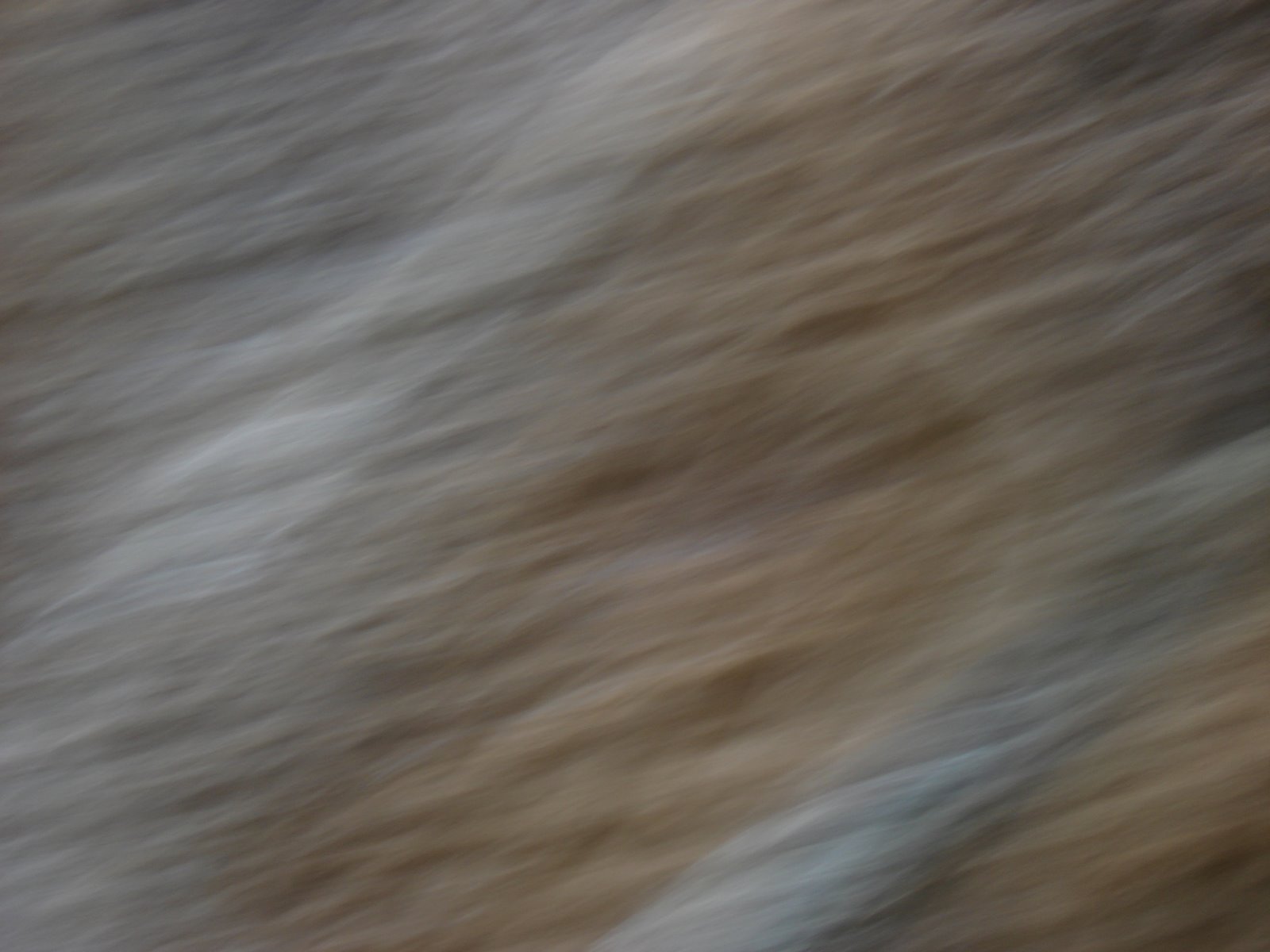 [Janeiro2007+697.jpg]