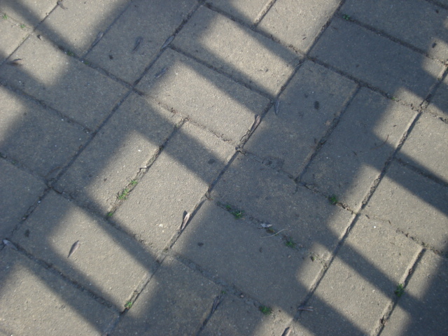 [DSC02065.JPG]