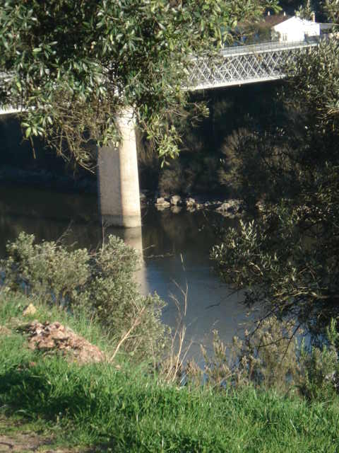 [DSC02079.JPG]